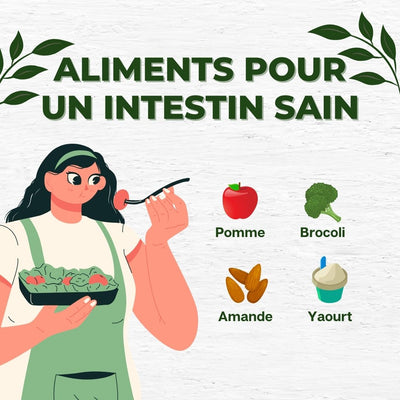 Le lien entre le microbiote intestinal et la concentration